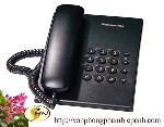 Điện thoại KXTGF310